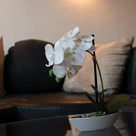 Hahnenklee 409 & 211 * 戈斯拉尔