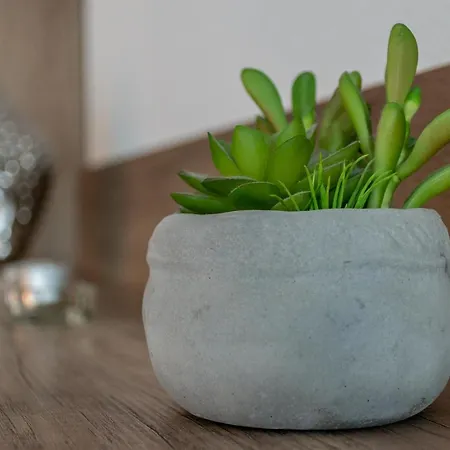 Hahnenklee 409 & 211 Διαμέρισμα Γκόσλαρ